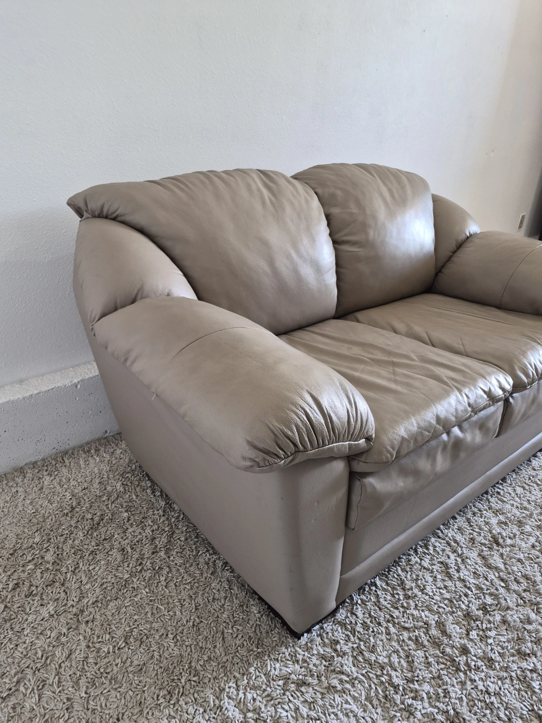 The Brick 2 Seater Loveseat Leather Sofa Couch - photo 5