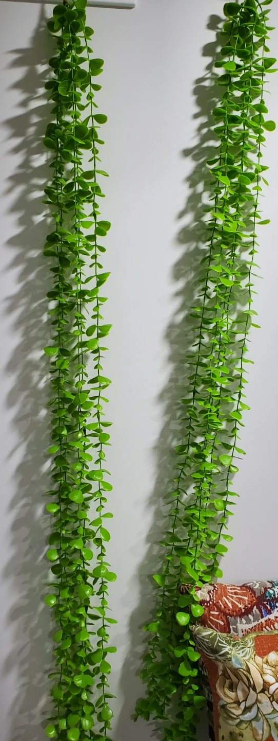 Moving sale brand new green hanging leaves