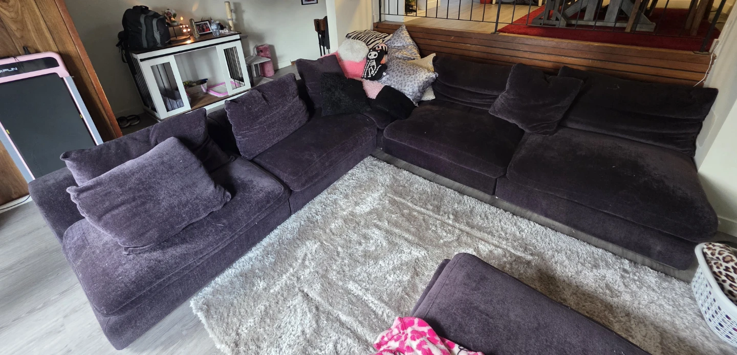 Crate & Barrel Downfilled Sectional
