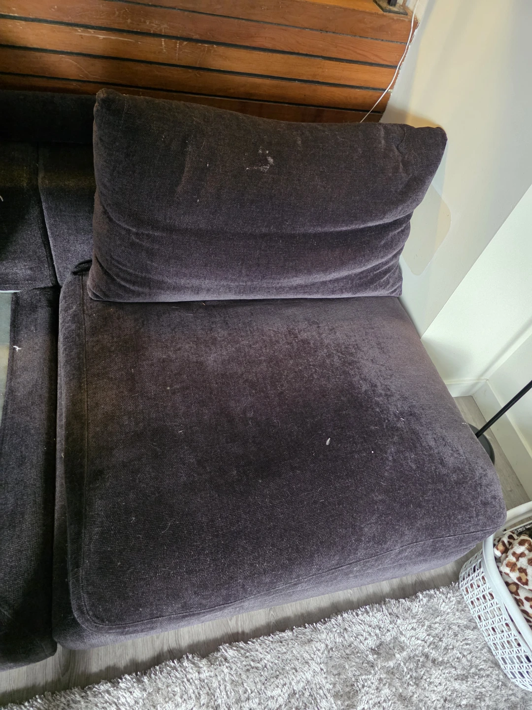 Crate & Barrel Downfilled Sectional - photo 4