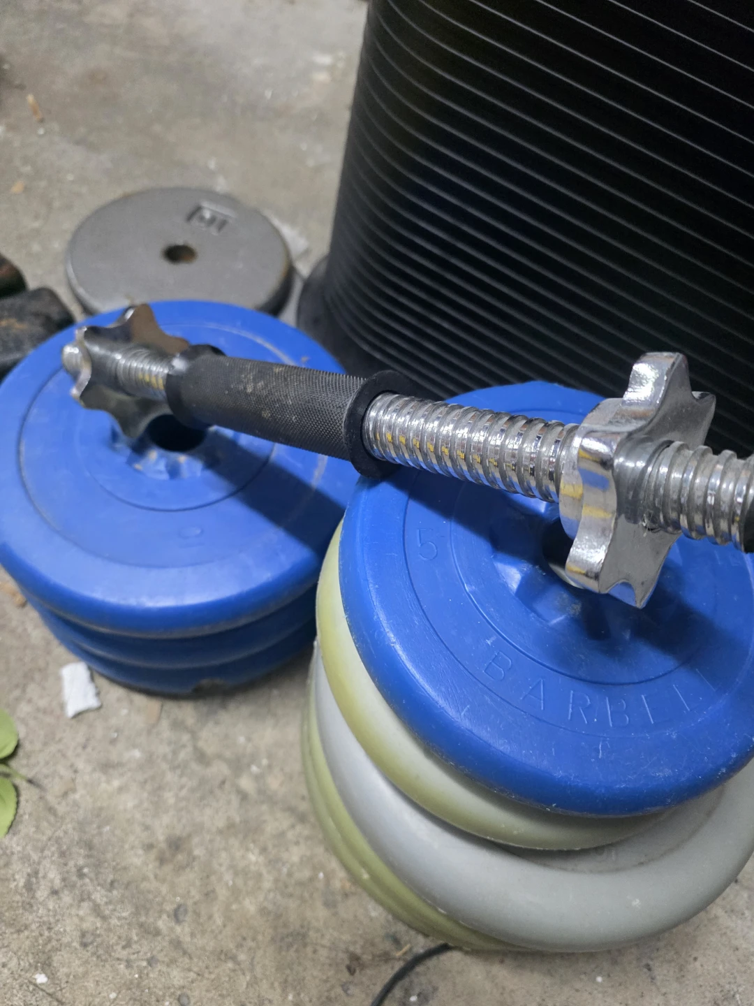 Adjustable Dumbbell Set with Weight Plates
