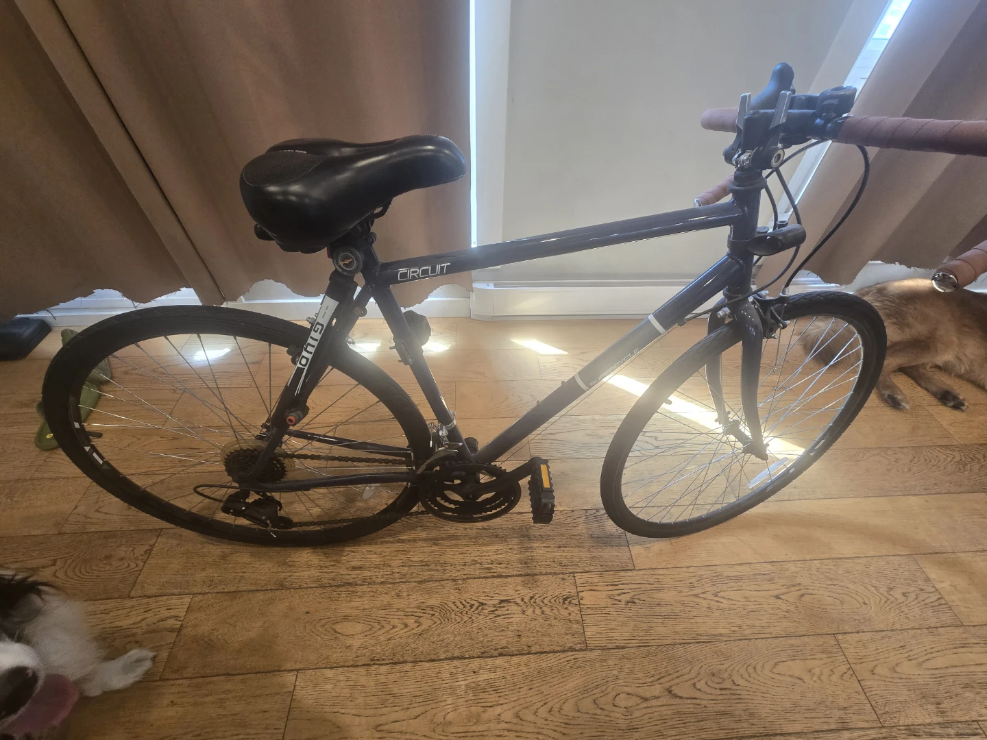 Circuit hybrid Bike