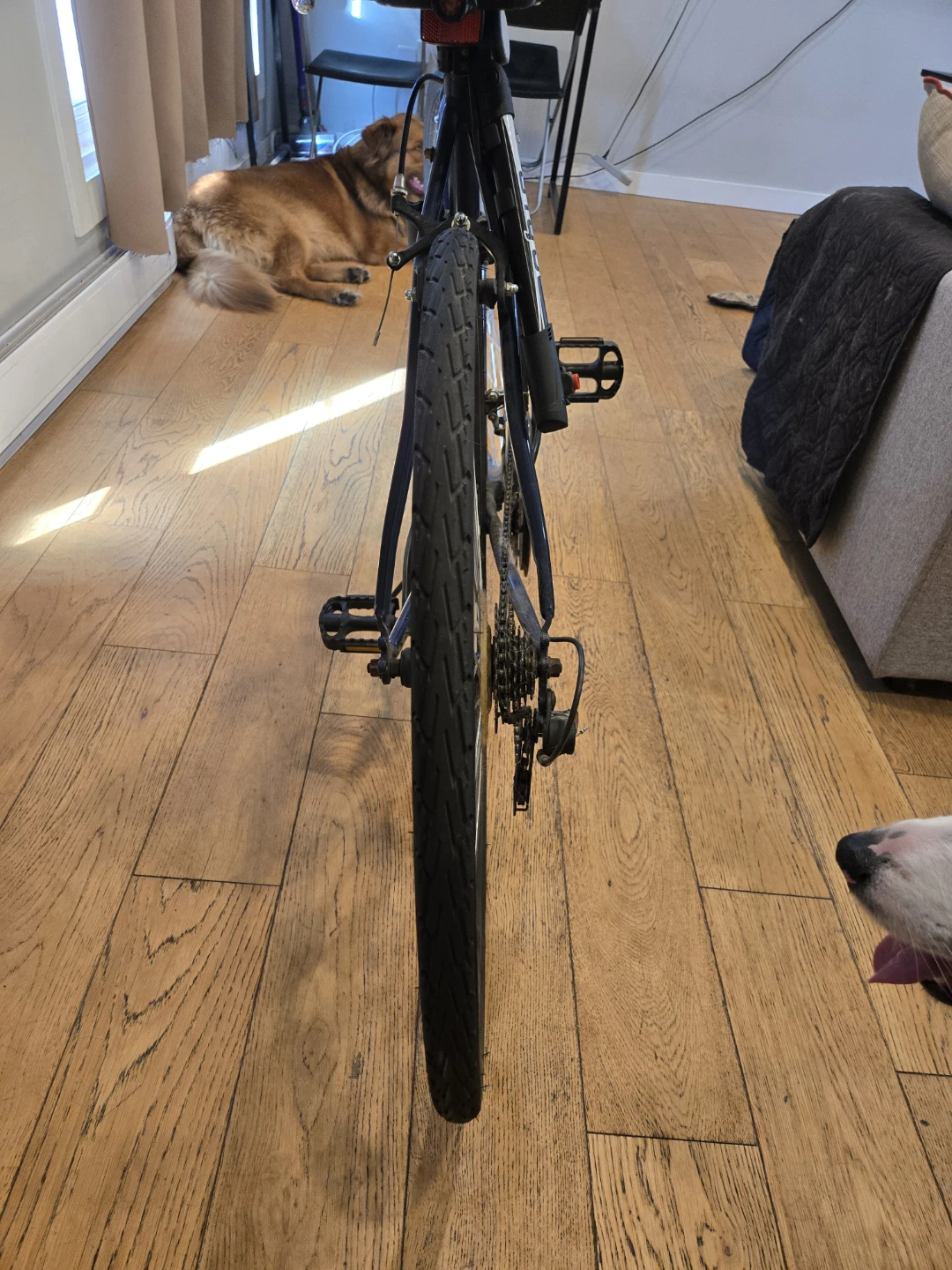 Circuit hybrid Bike - photo 2