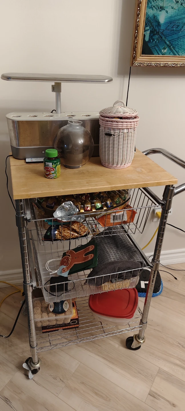 Rolling Kitchen Cart with Wood Top - photo 4