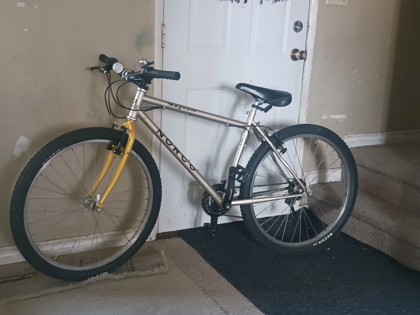 2 Adult bikes
