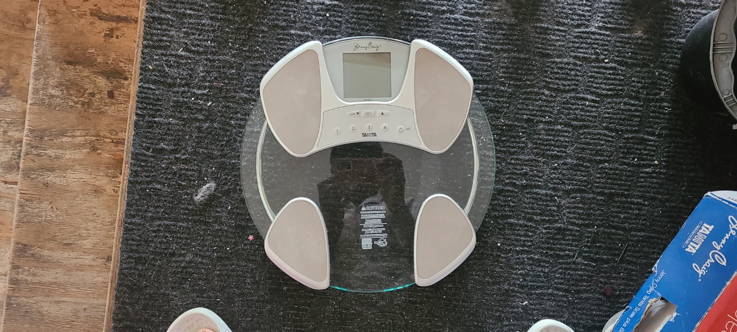 Glass scale