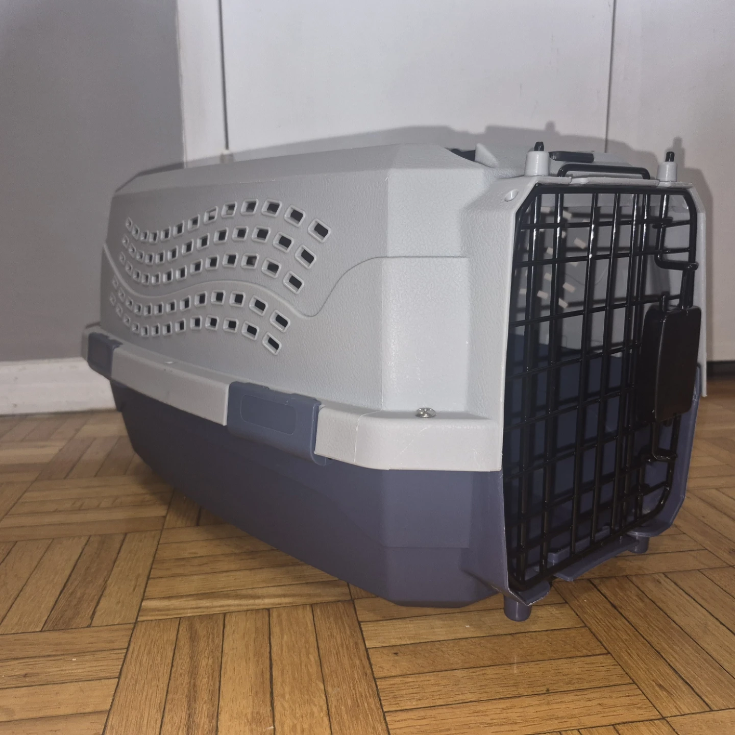 🐾 Amazon Basics Pet Carrier (Small)  🐾