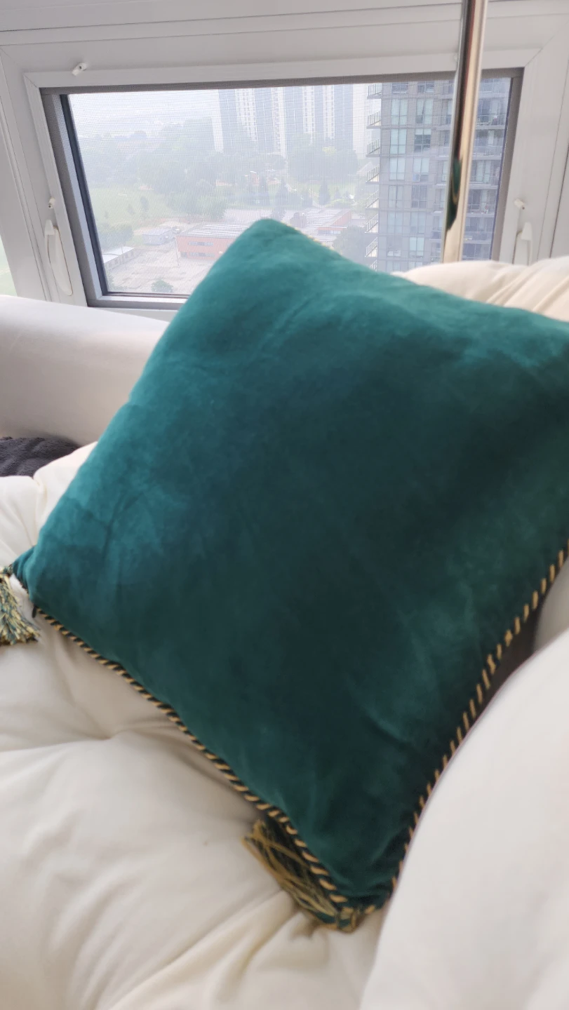 H&M Home Regal Lion Crest Velvet Cushion with Tassels - photo 3