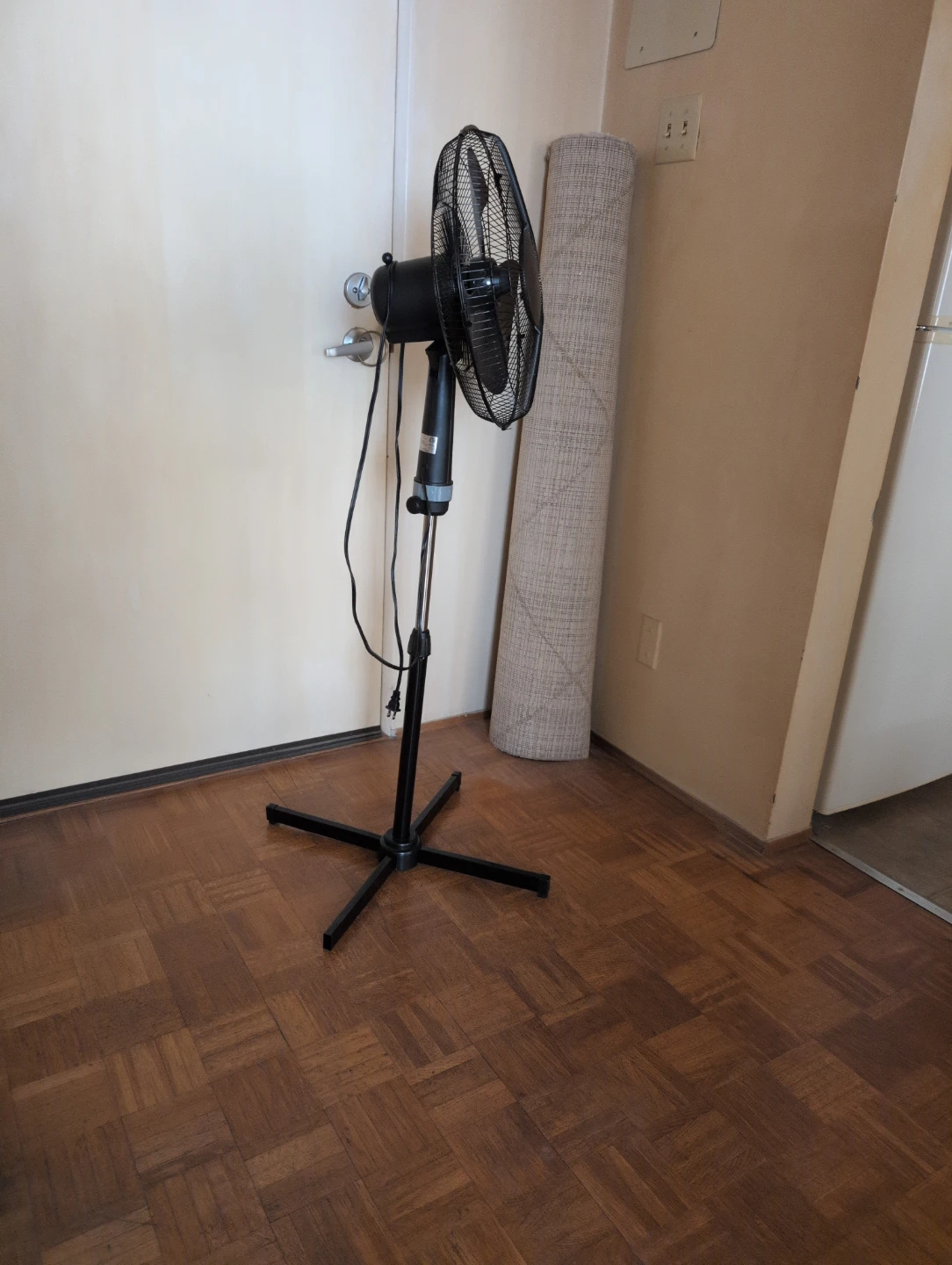 Black Pedestal Fan - photo 2