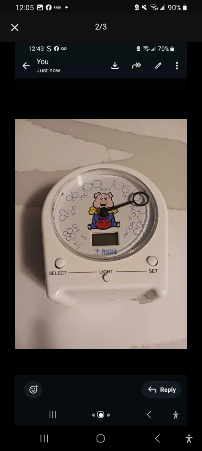 Prosonic AM/FM Radio Alarm Clock