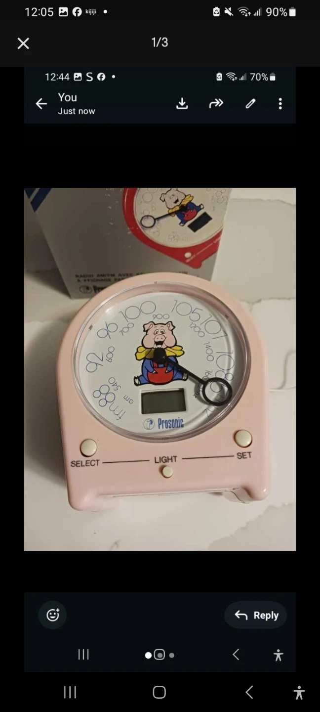 Prosonic AM/FM Radio Alarm Clock - photo 3