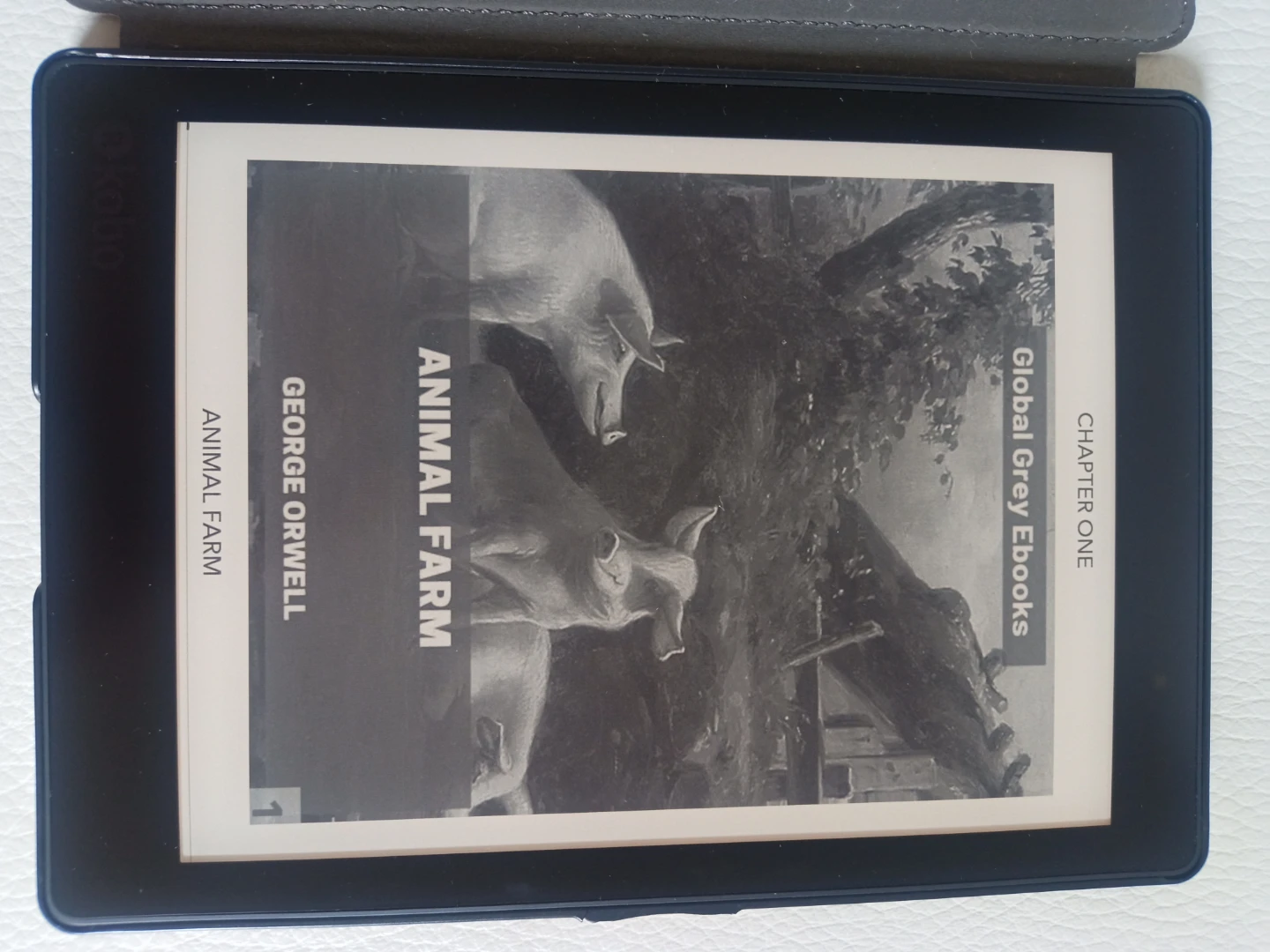 Kobo Aura ONE eReader with Case , cable
