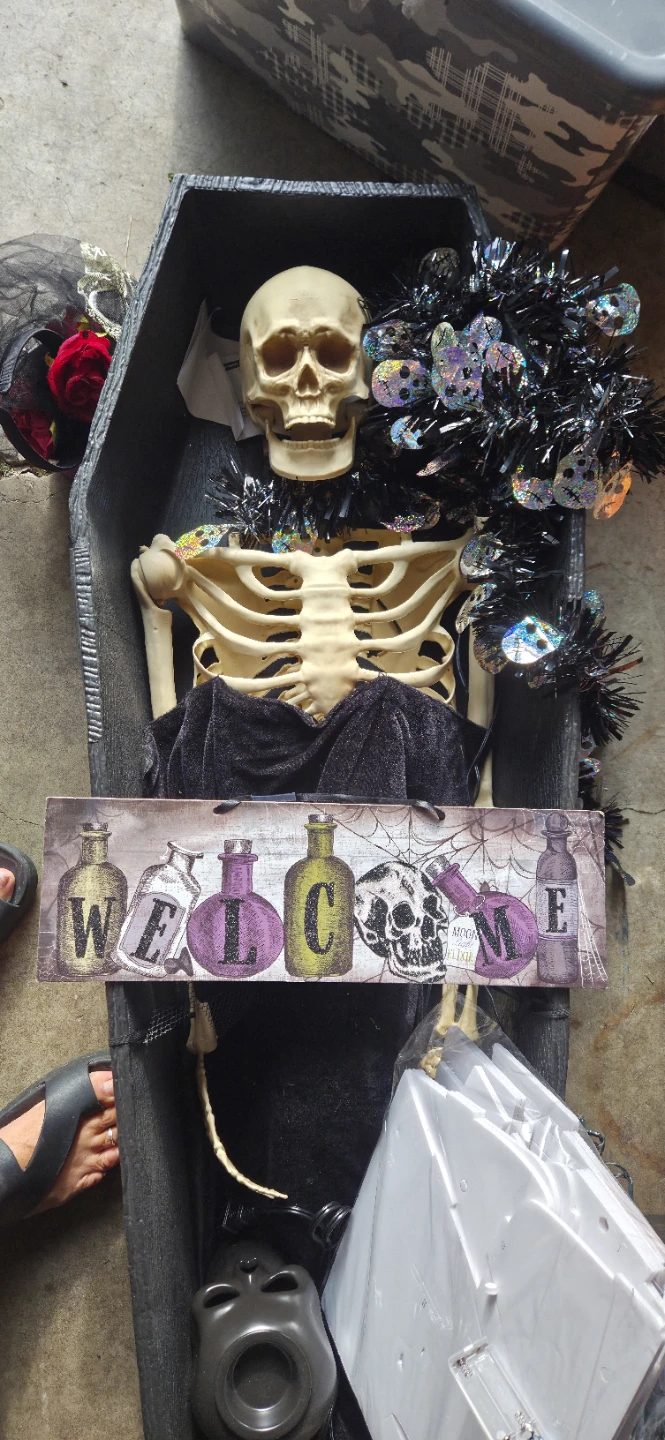 Halloween Skeleton in Coffin Prop