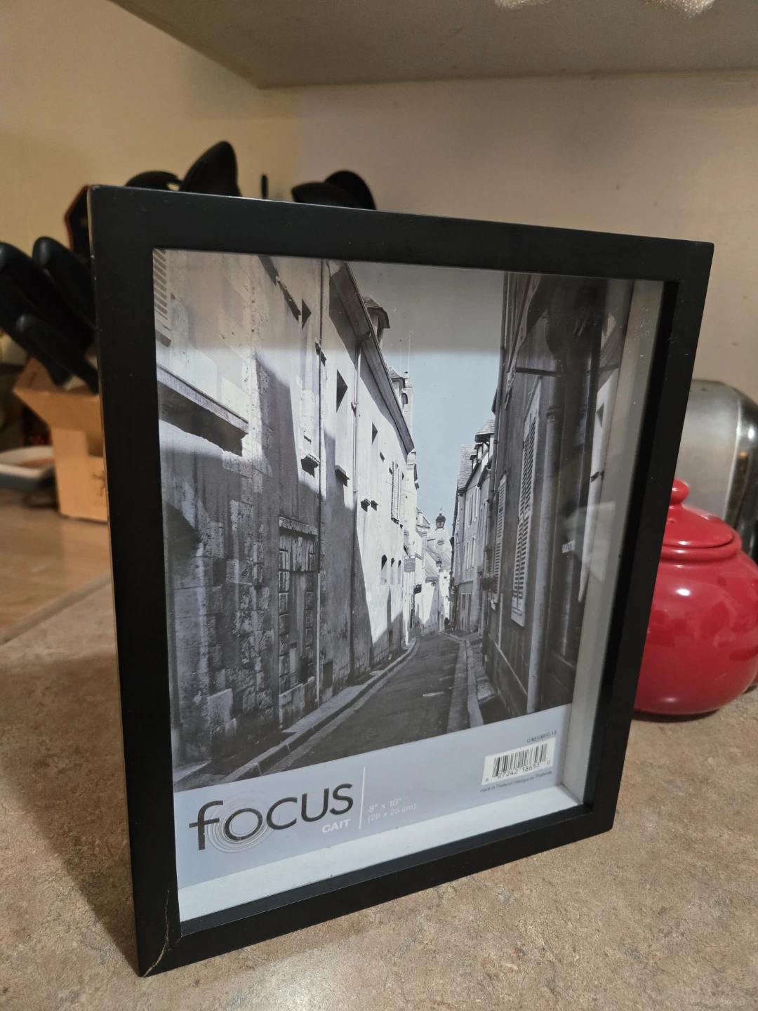 Picture Frame  8" x 10"