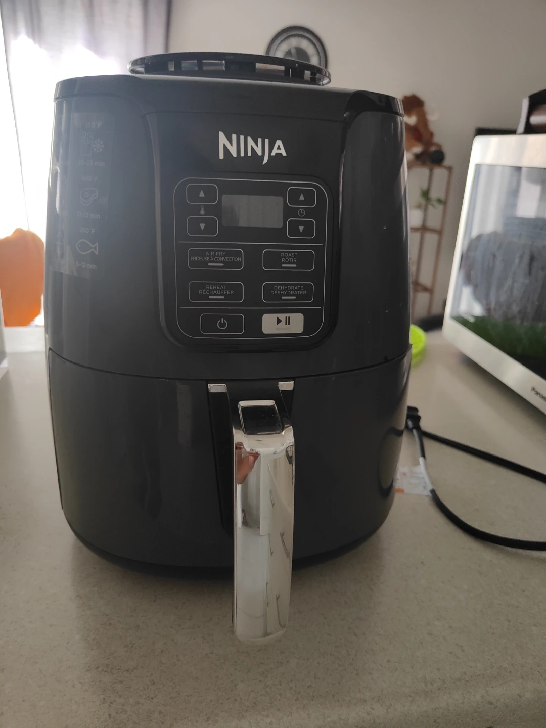 Ninja Air Fryer