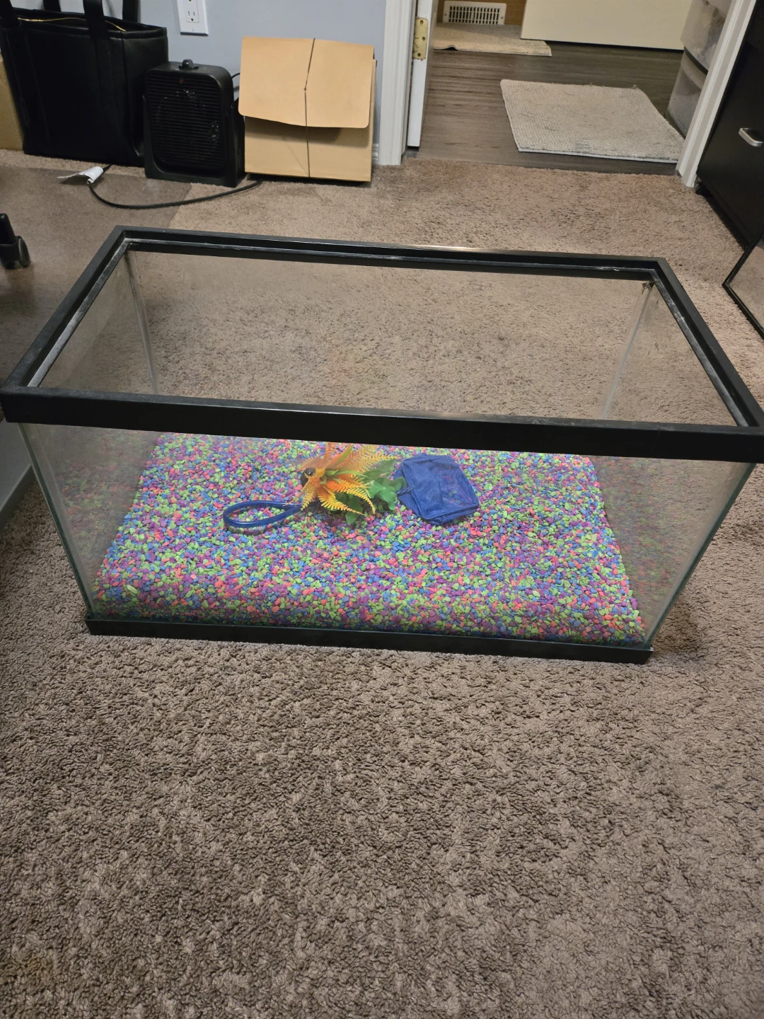 Glass Aquarium Tank with Gravel and Accessories