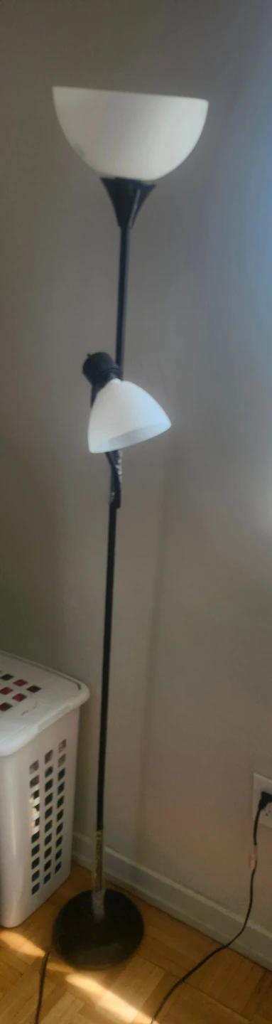 Black Floor Lamp with Adjustable Reading Light