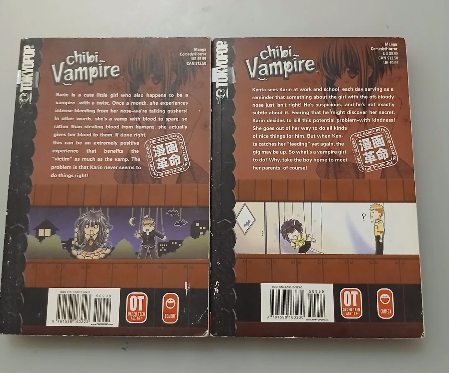 Chibi Vampire Manga Volumes 1 & 2 - photo 3
