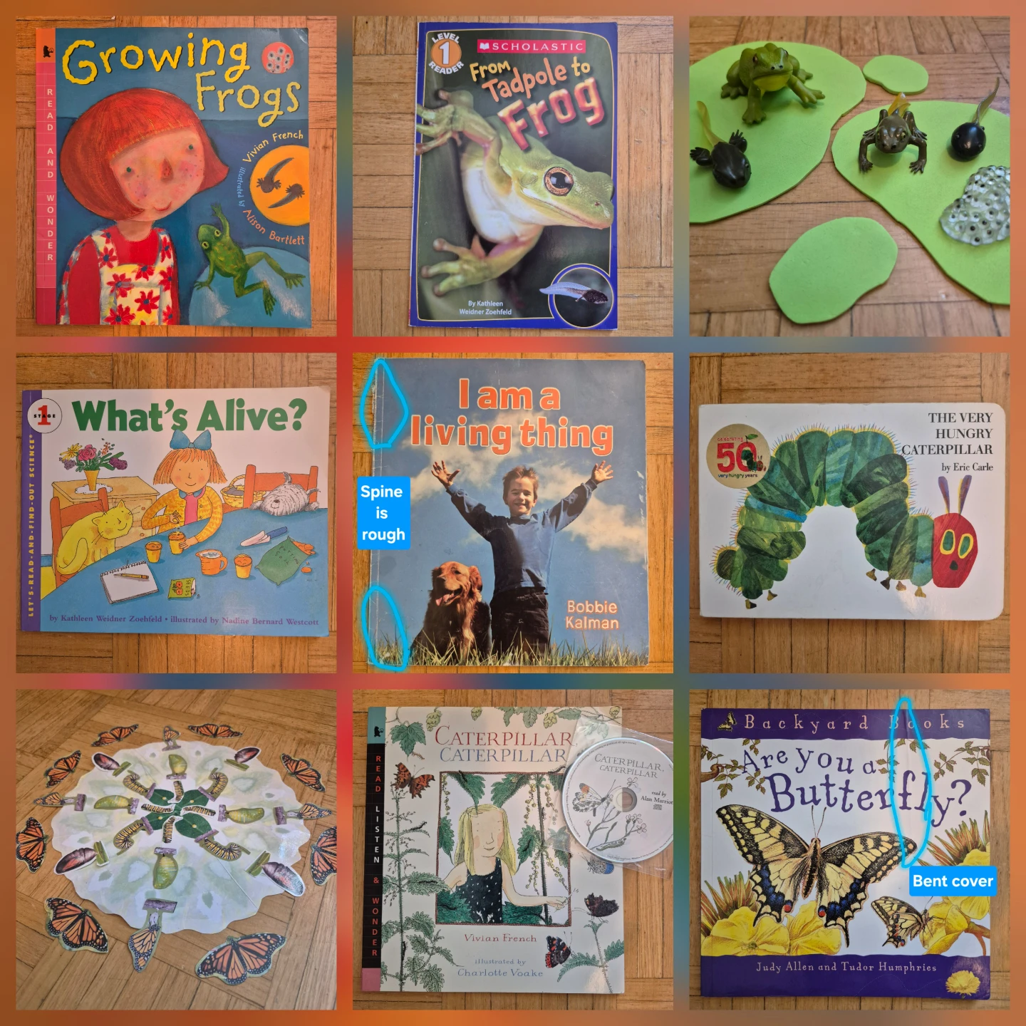 Set of 7 books about Life Cycles and Living Things with supplies