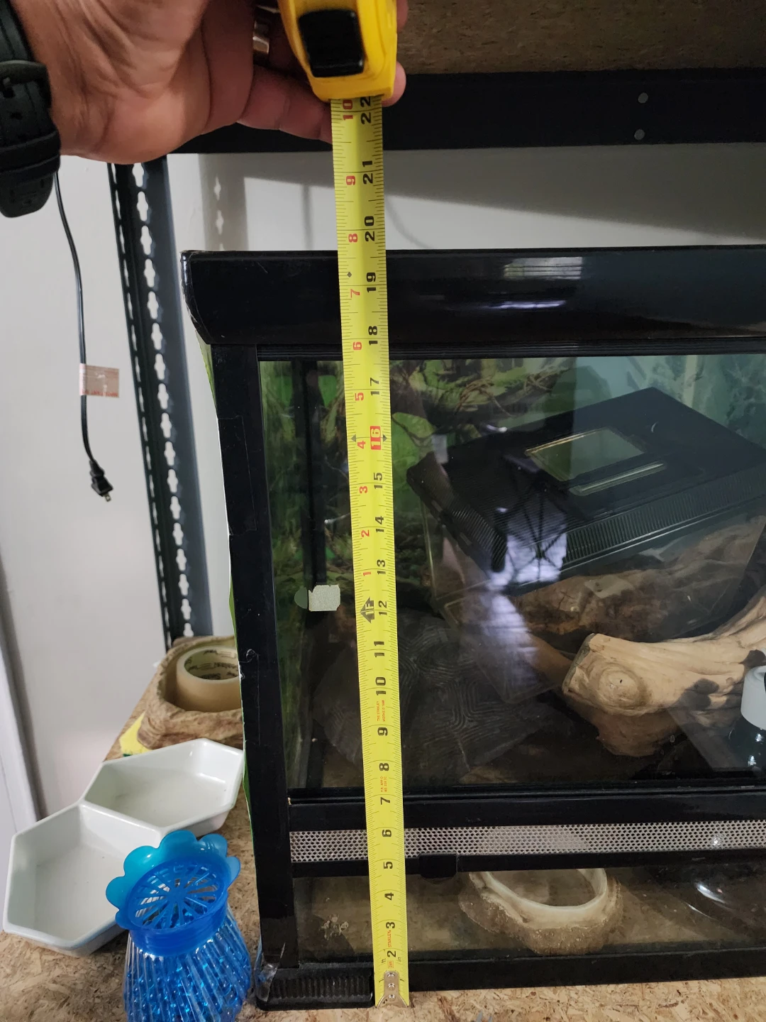 Glass Terrarium Enclosure - photo 3