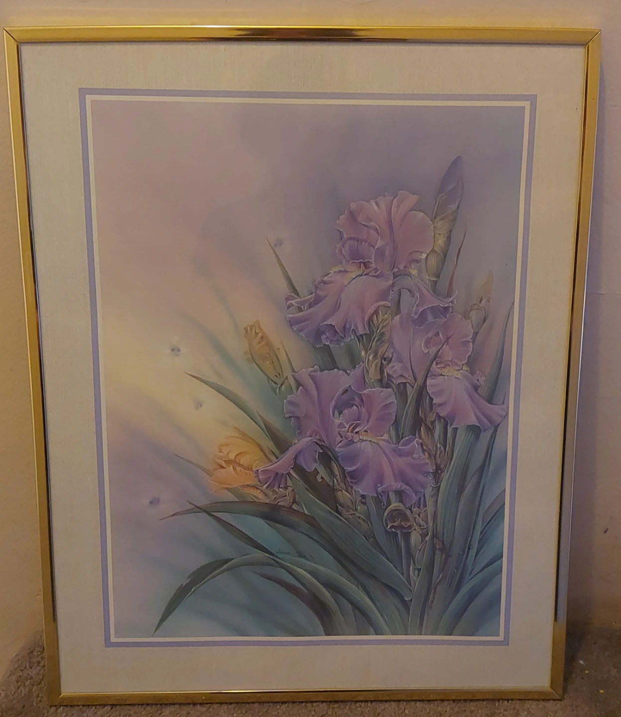 Framed Iris Art Print