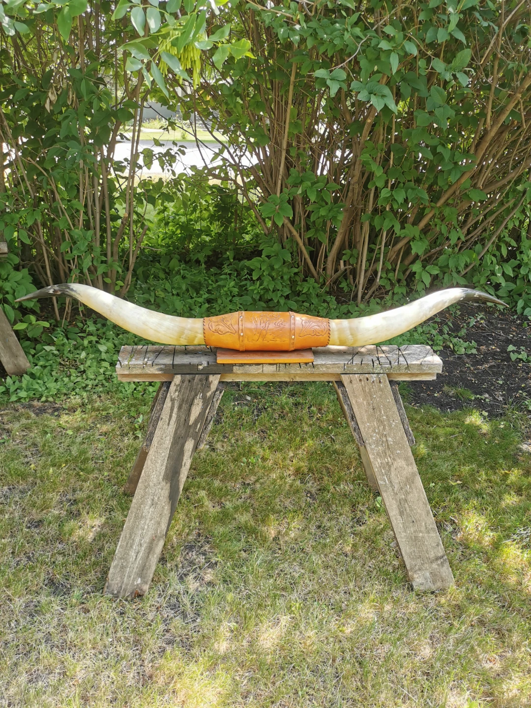 Vintage Genuine Longhorn Horn Wall Mount | Hand-Tooled Leather