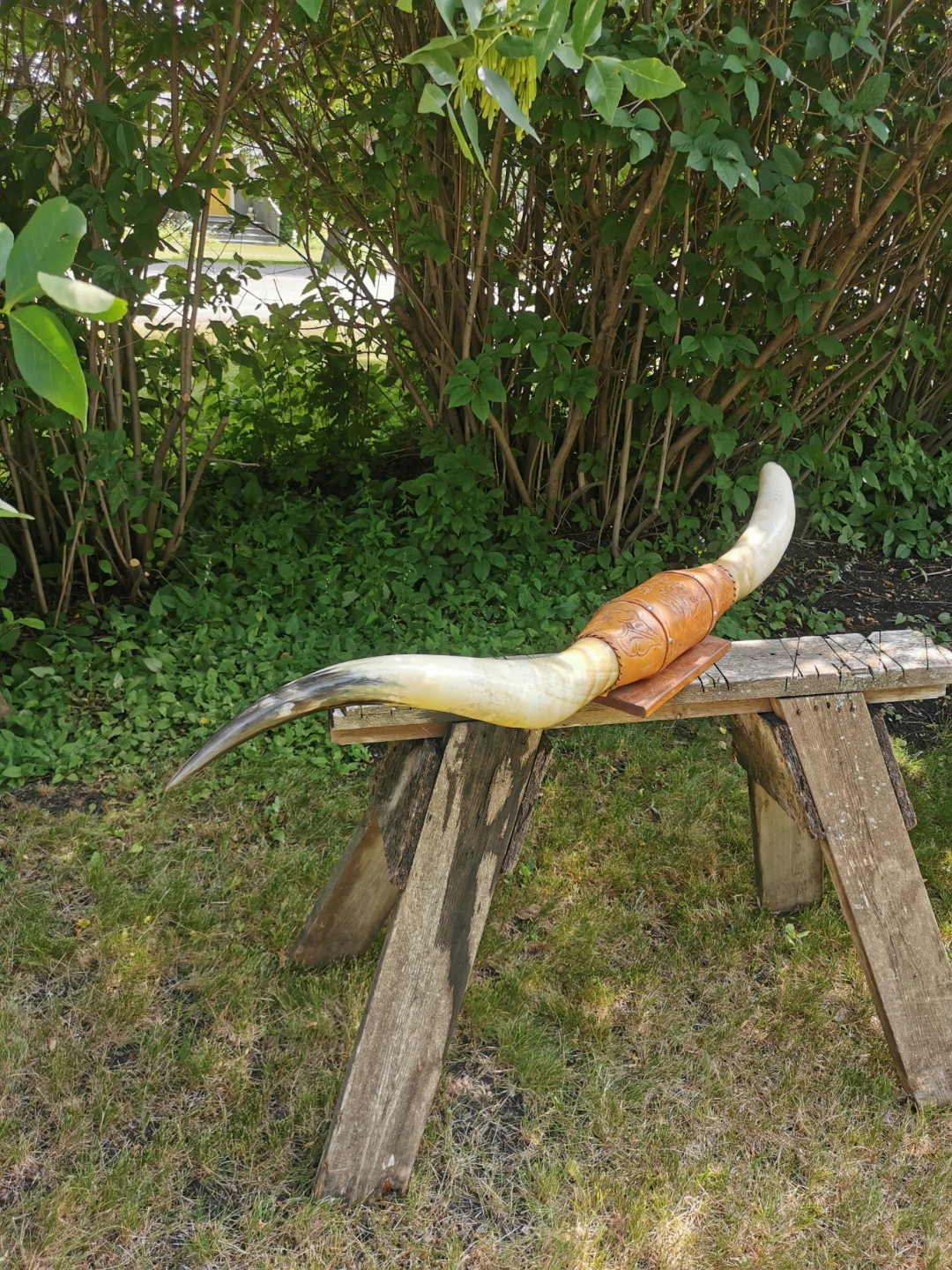 Vintage Genuine Longhorn Horn Wall Mount | Hand-Tooled Leather - photo 3