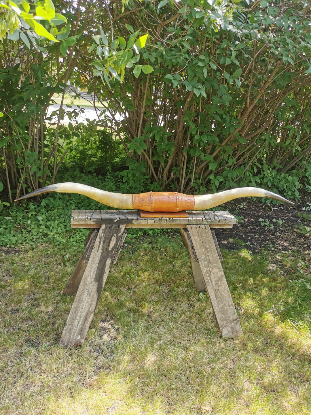 Vintage Genuine Longhorn Horn Wall Mount | Hand-Tooled Leather - photo 4