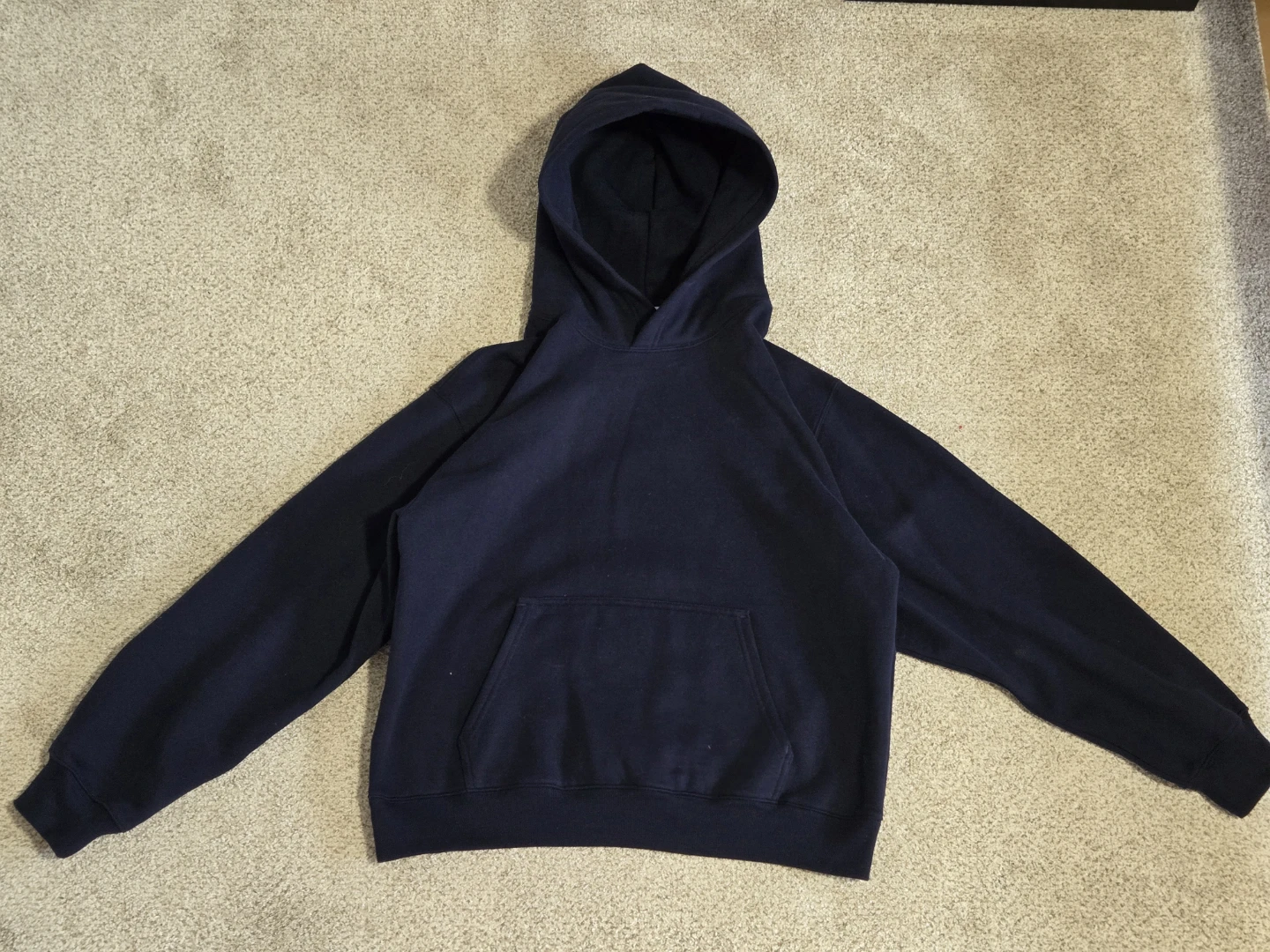 Aritzia Cozy Sweatfleece Perfect Hoodie