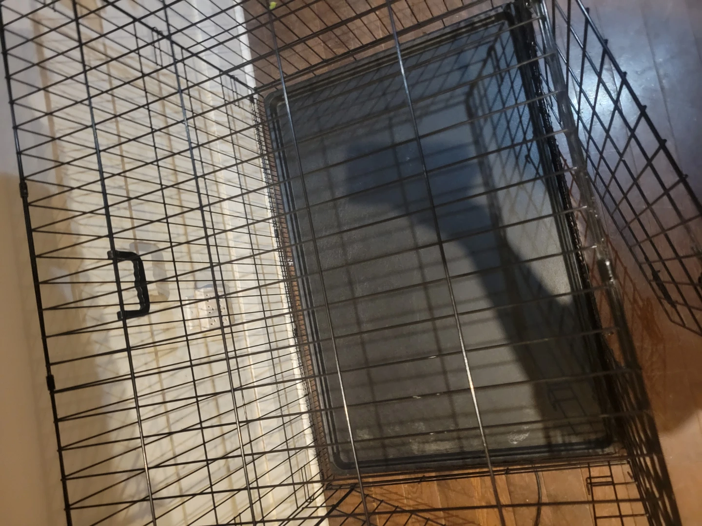 42" Folding Wire Dog Crate – Great Condition - photo 3