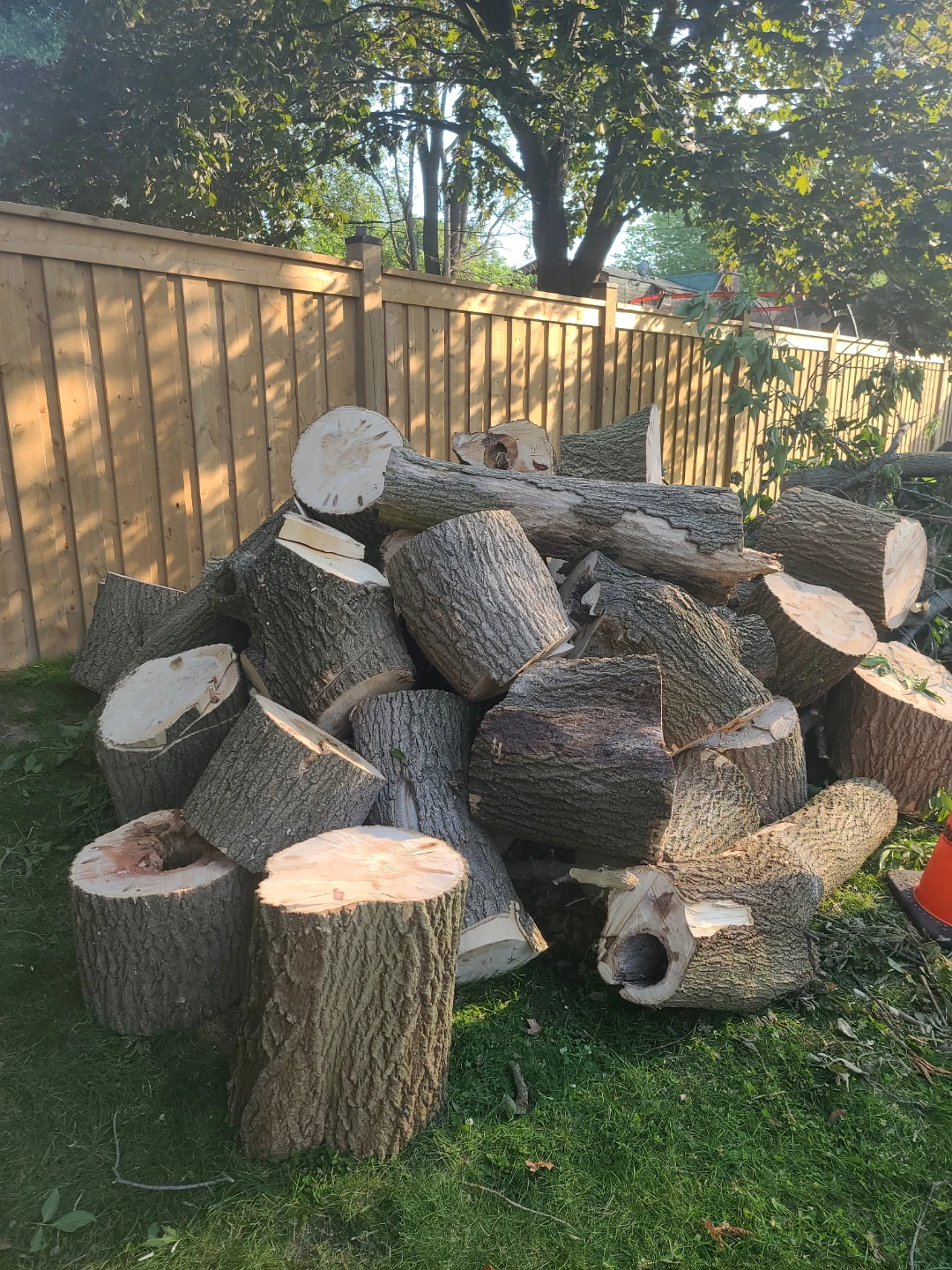 Free Firewood