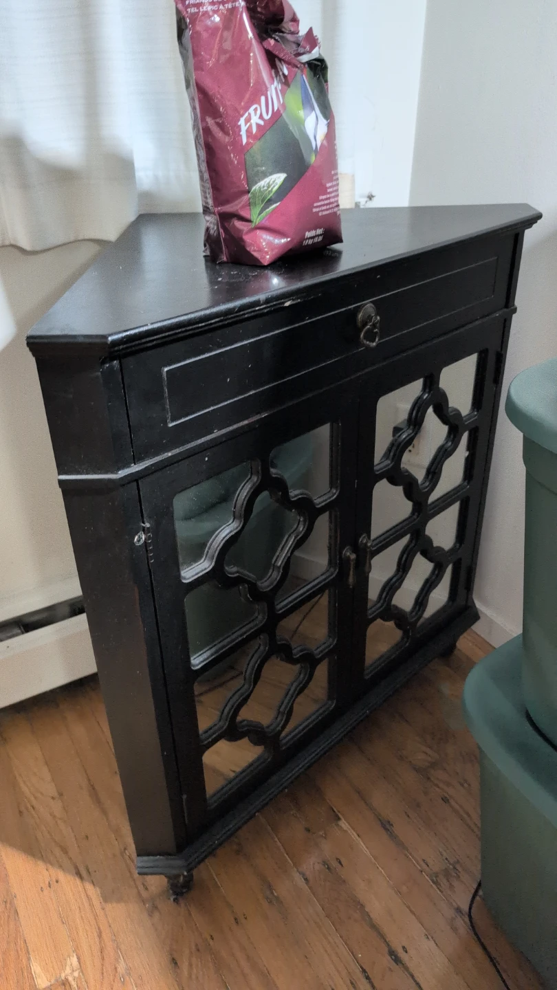 Black Two-Door Cabinet with Decorative Glass Panels - photo 5