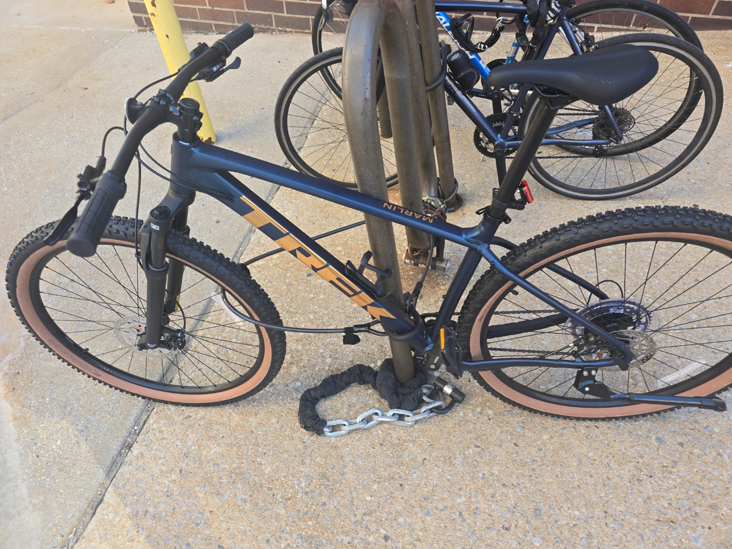 Trek Marlin 5 Large frame and 29in wheels.