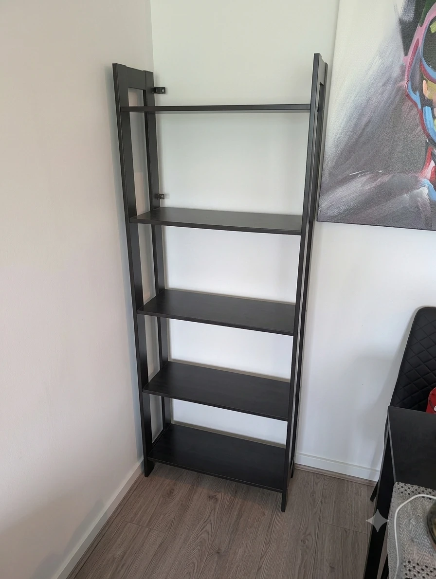 Black Ladder Bookshelf