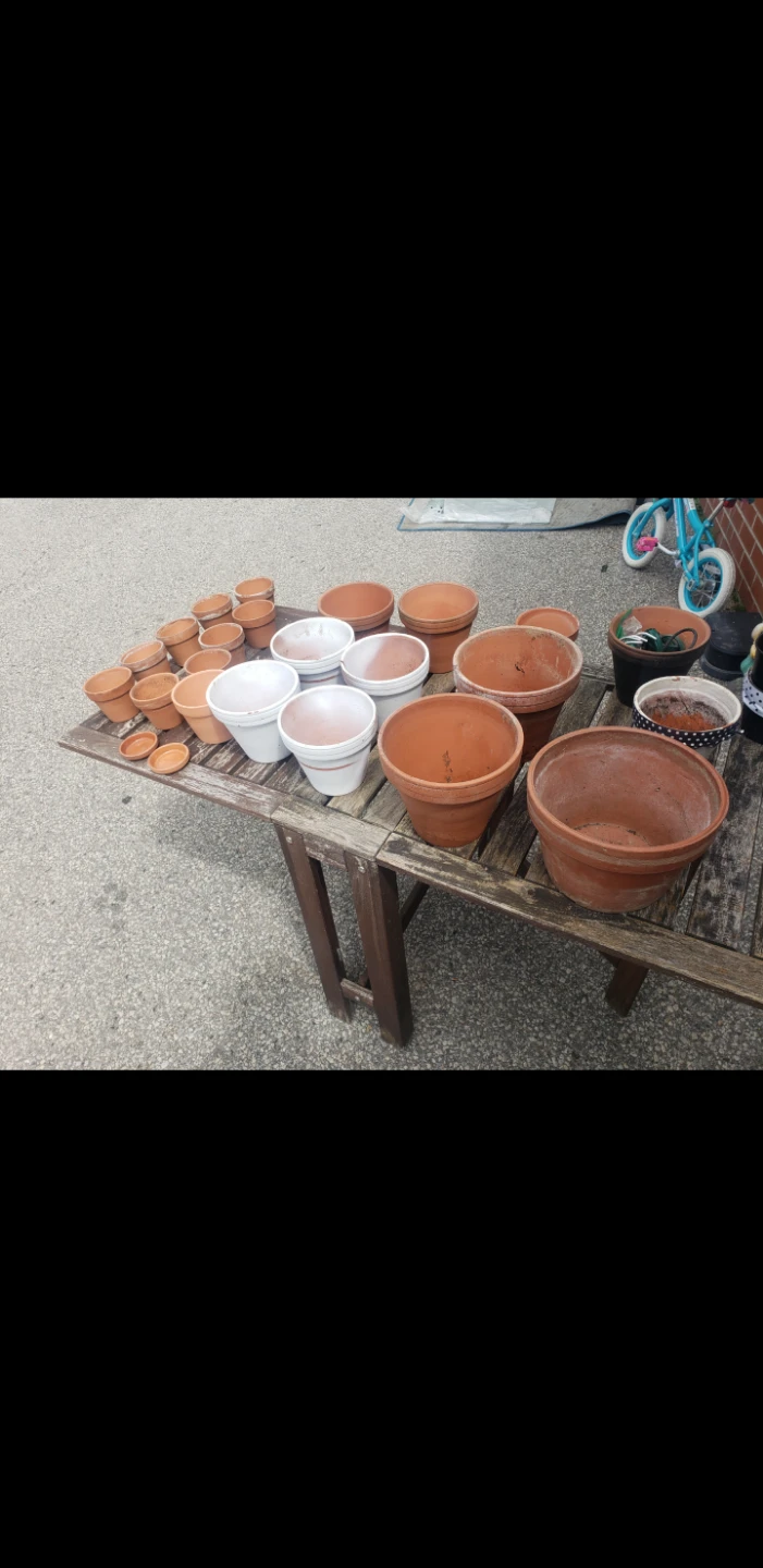 Terracotta Assorted Clay and White Flower Pots