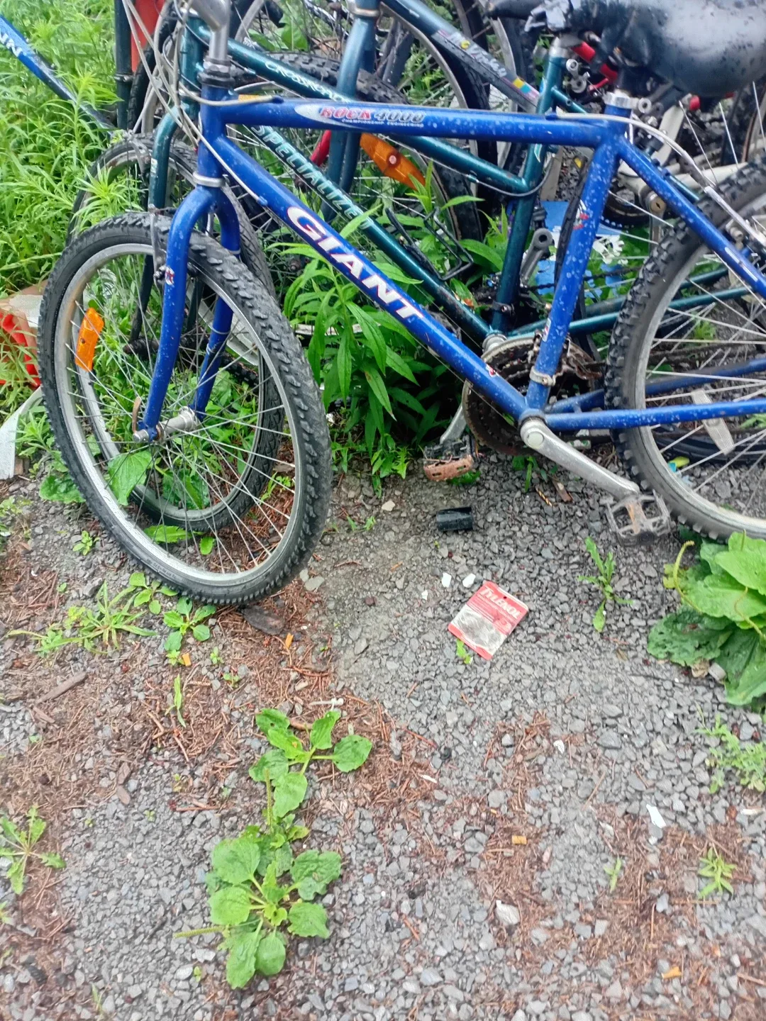Giant Rock 4000 Mountain Bike