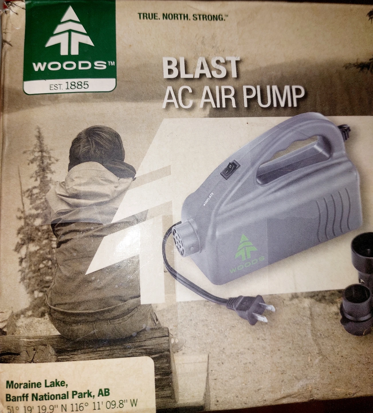 Woods Blast AC Air Pump