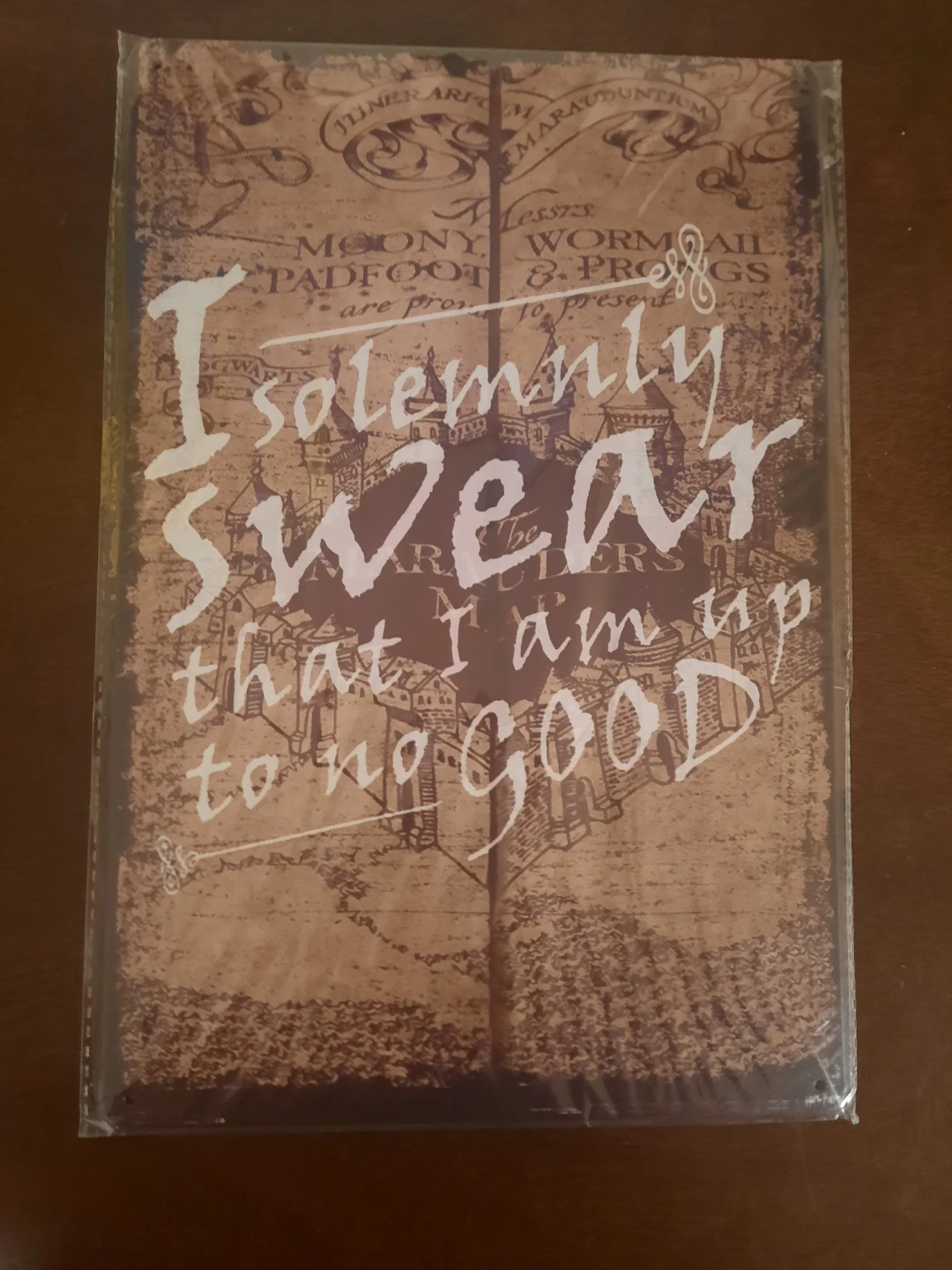 Harry Potter "I Solemnly Swear" Wall Art