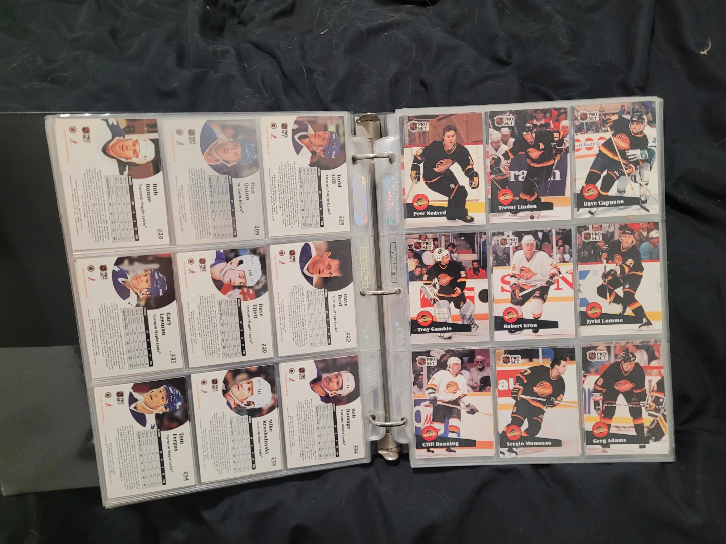 Pro Set Hockey Cards 89-90 an 90-91