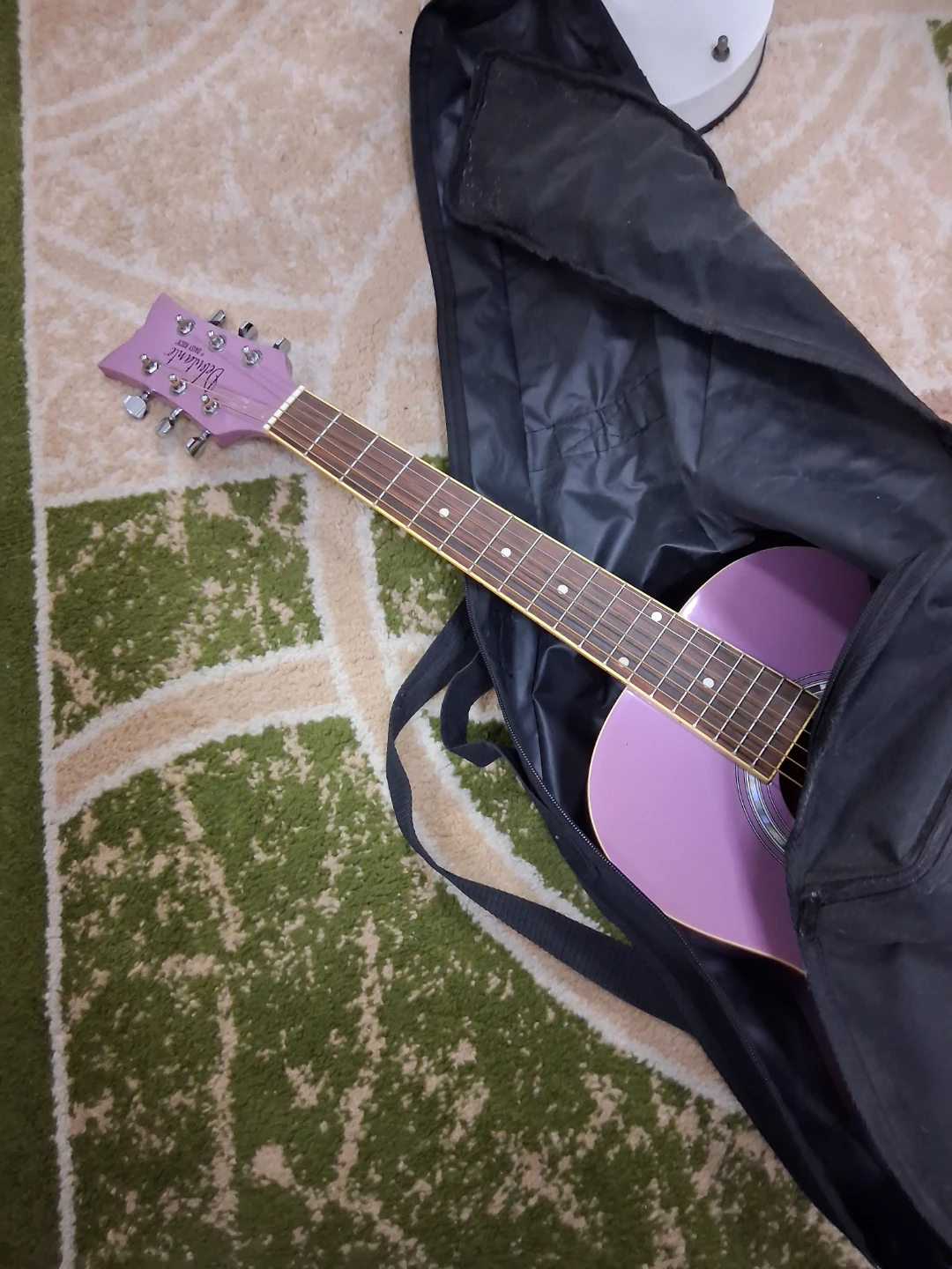 Student Electric Guitar with Gig Bag