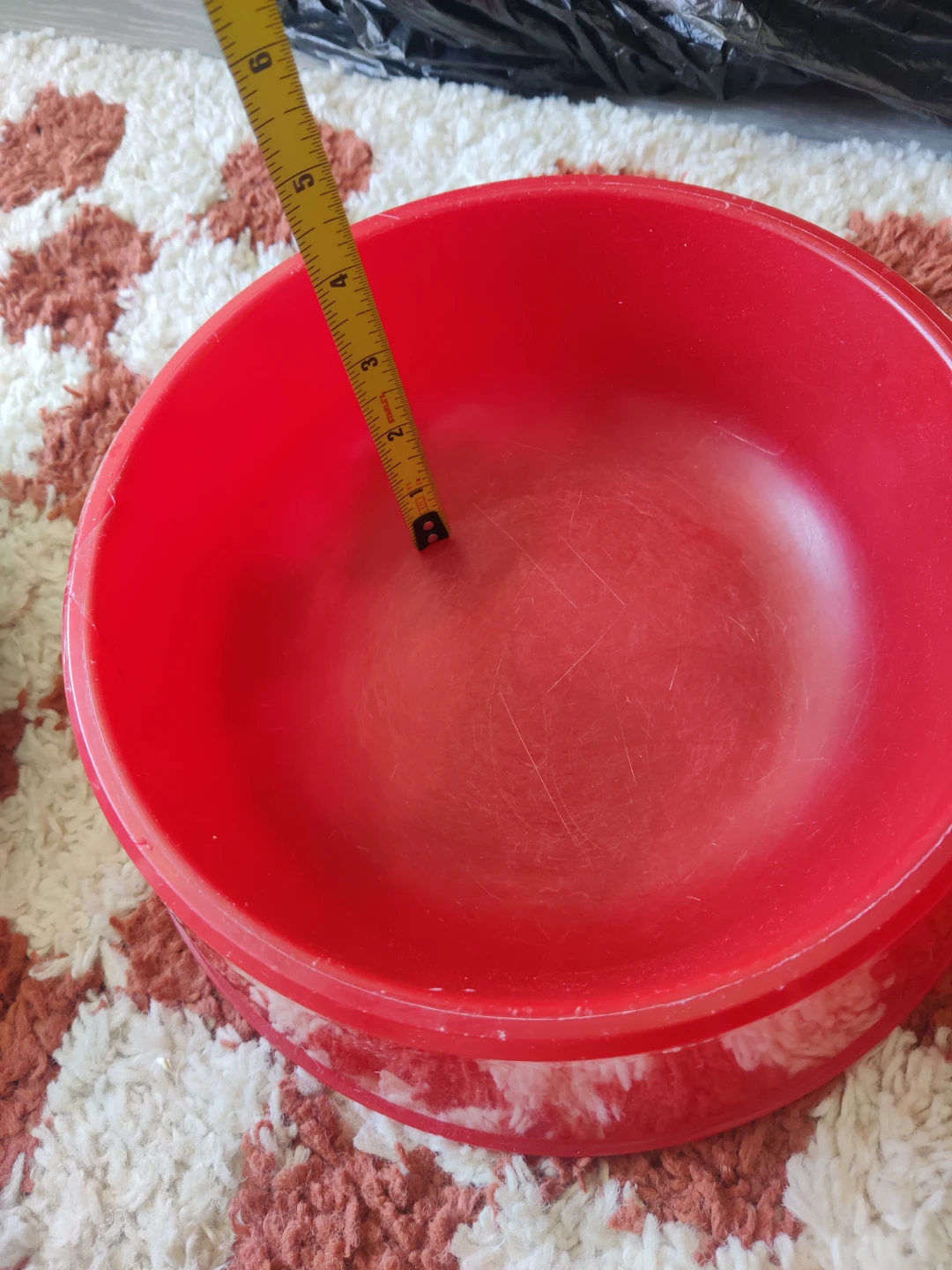 FREE dog bowls - photo 5