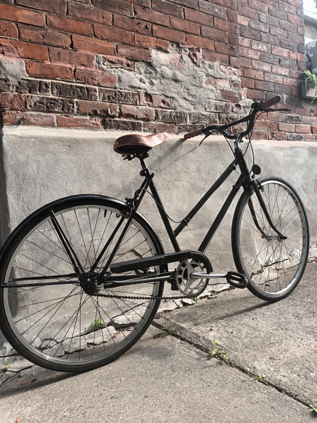 Vintage Women's Bike 3 Speed - photo 4