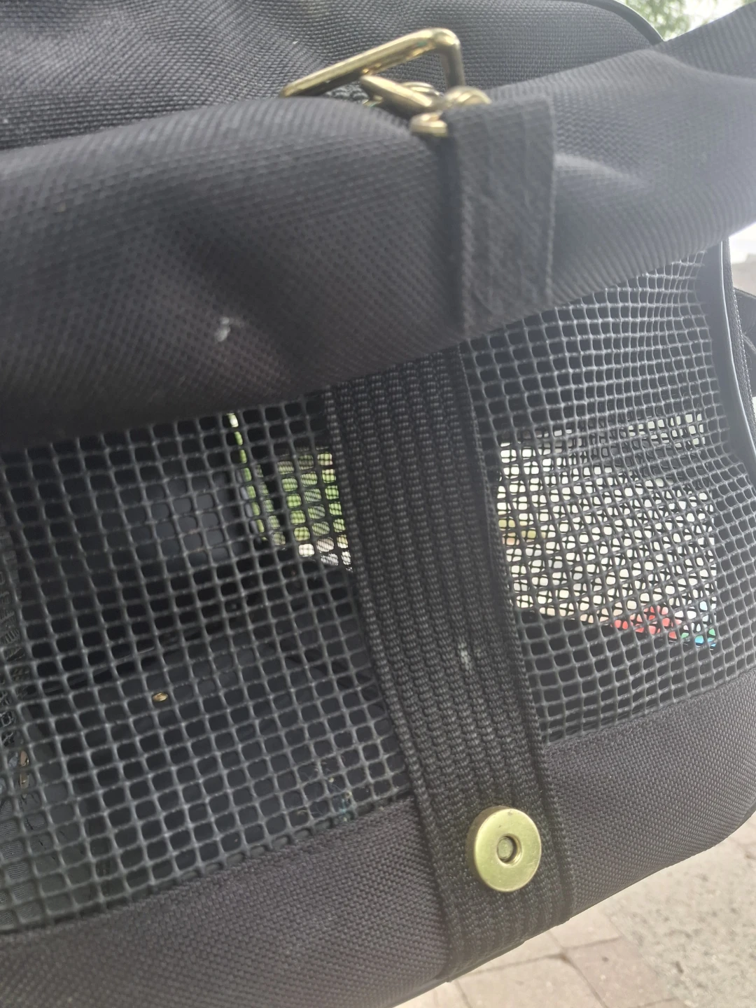 Samsonite Black Pet Carrier Bag - photo 5