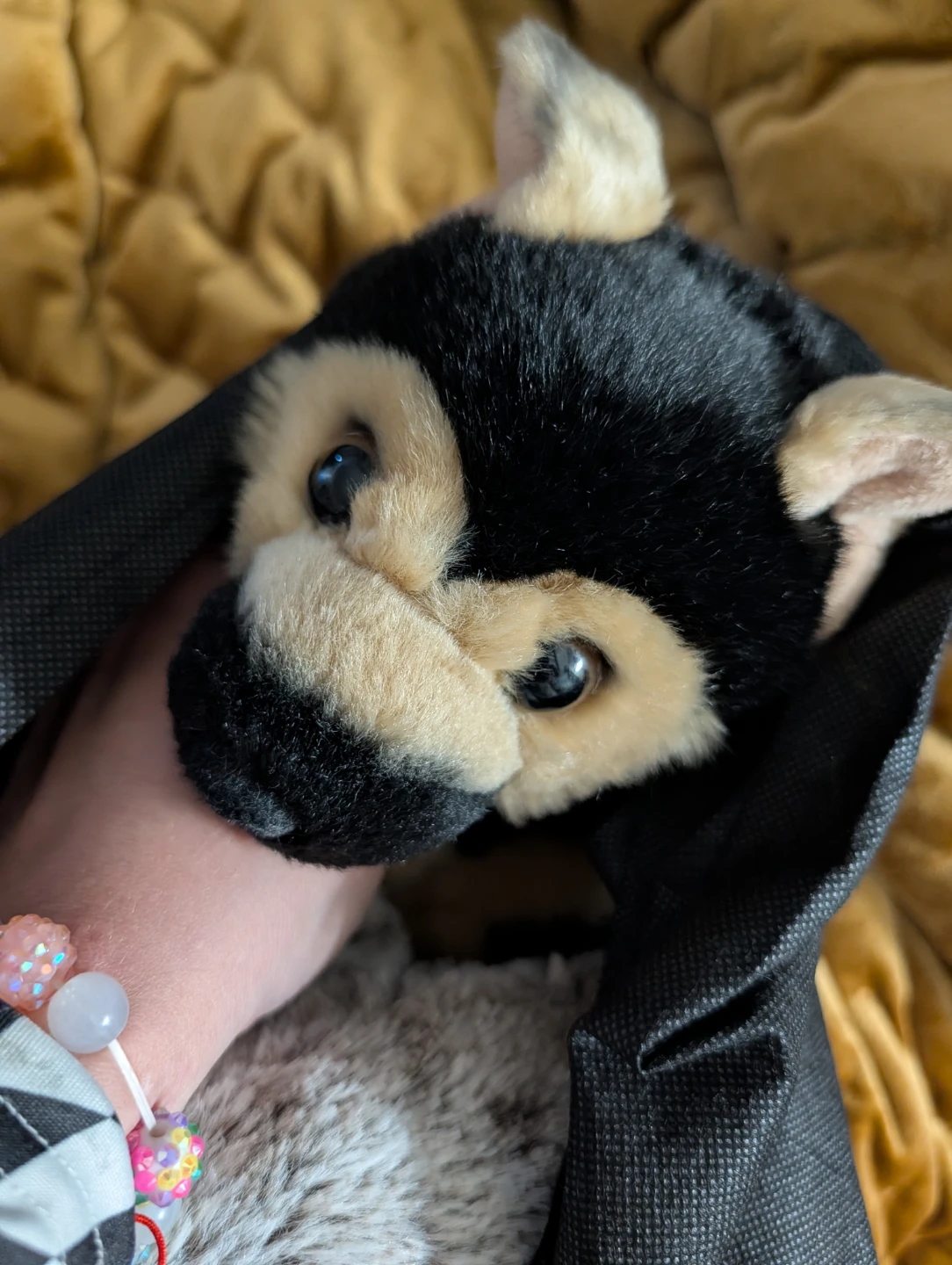 Stuffied animals