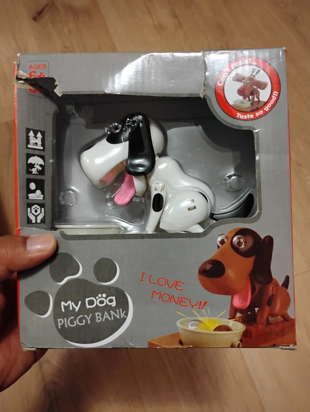 My Dog Piggy Bank - Animated Money Box