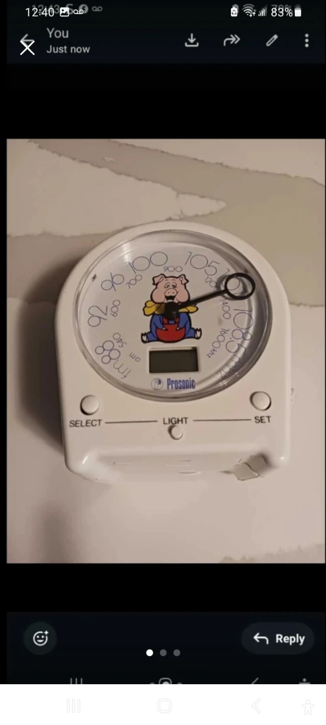 Prosonic Pig Alarm Clock Radio - photo 2