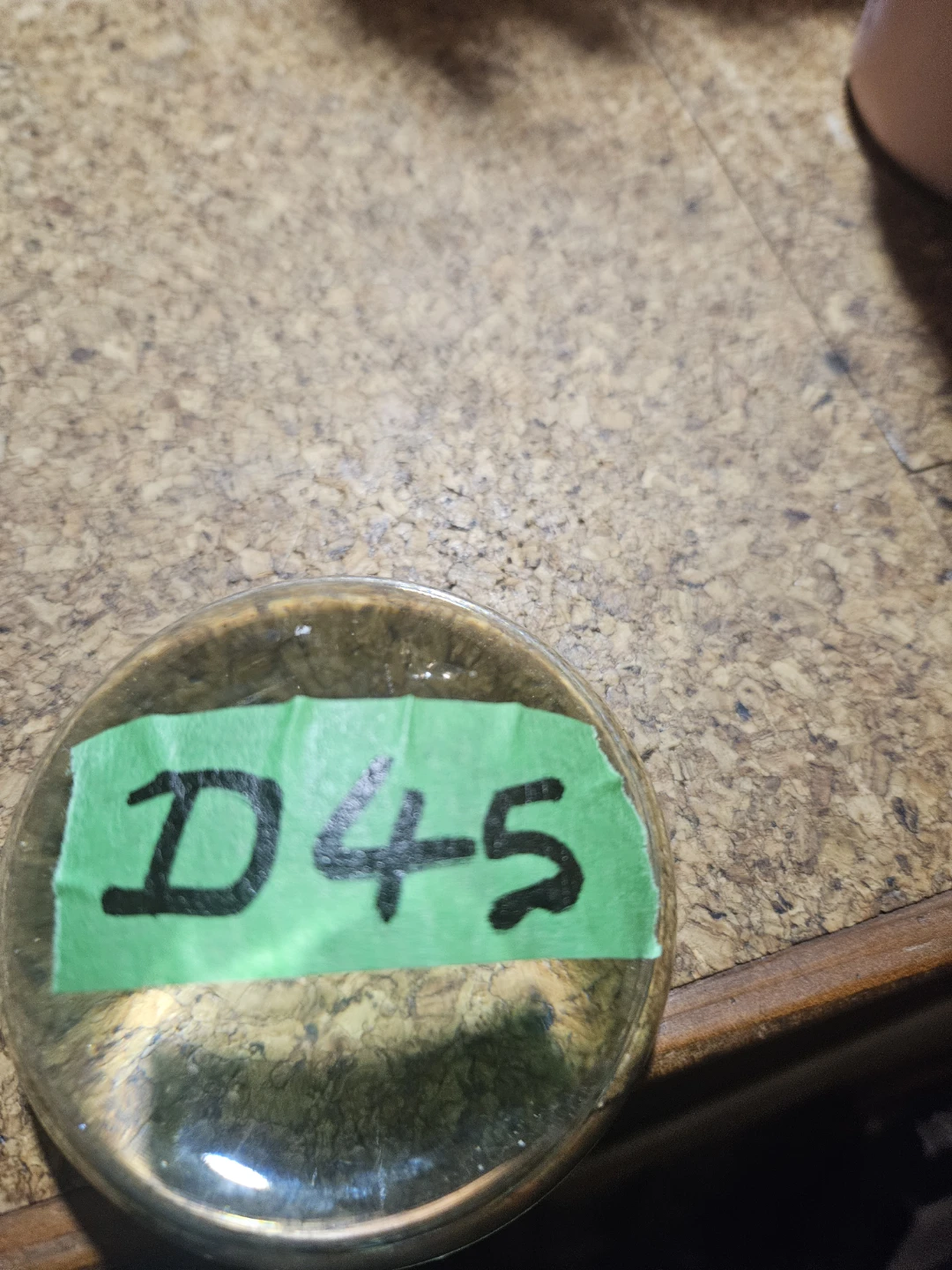 Glass Paperweight - photo 5
