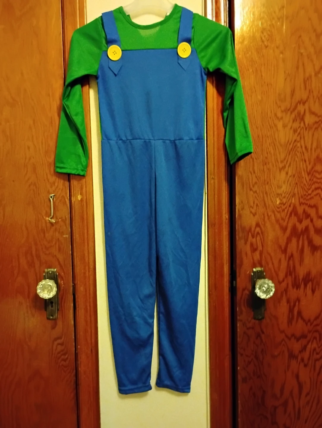Kids Luigi Costume Jumpsuit