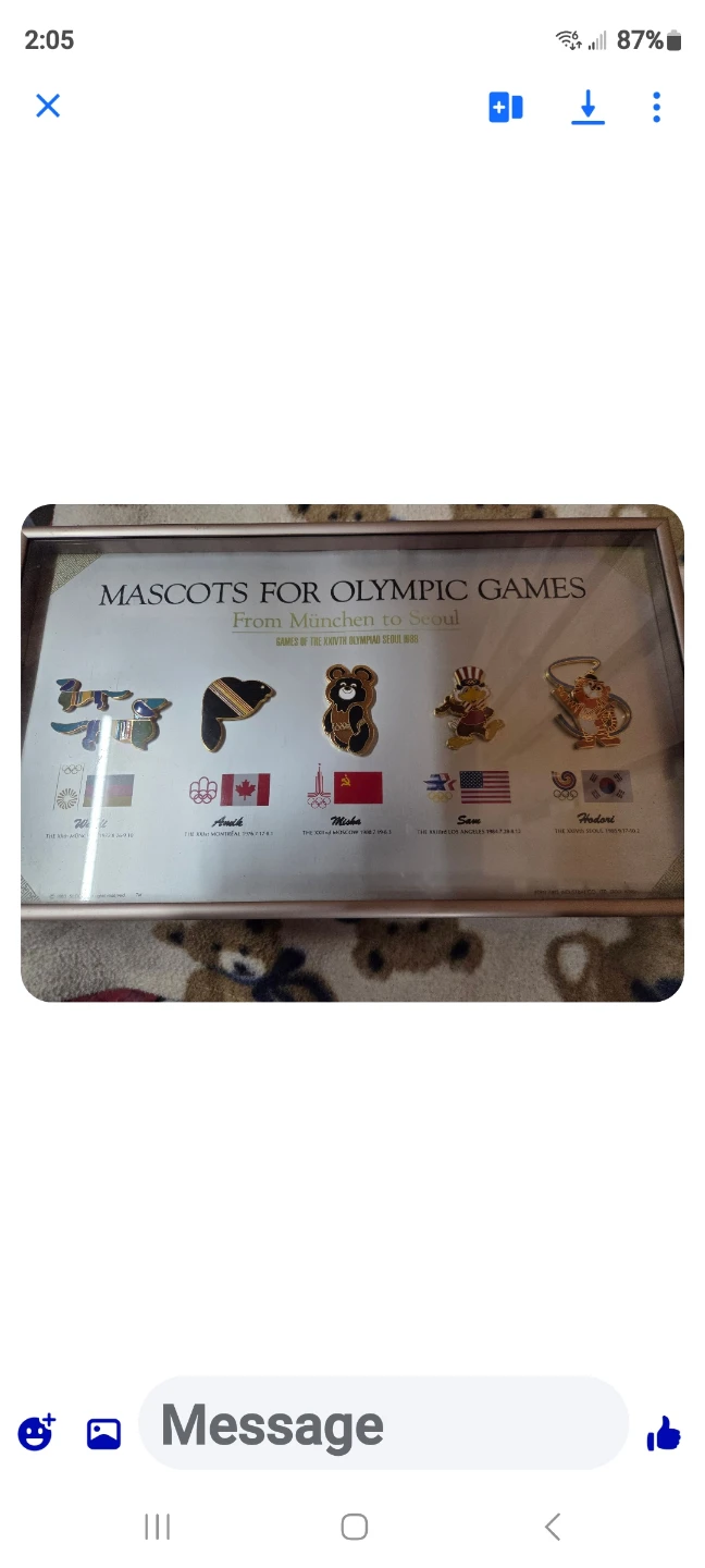 Vintage Mascots for Olympic Games Framed Pins