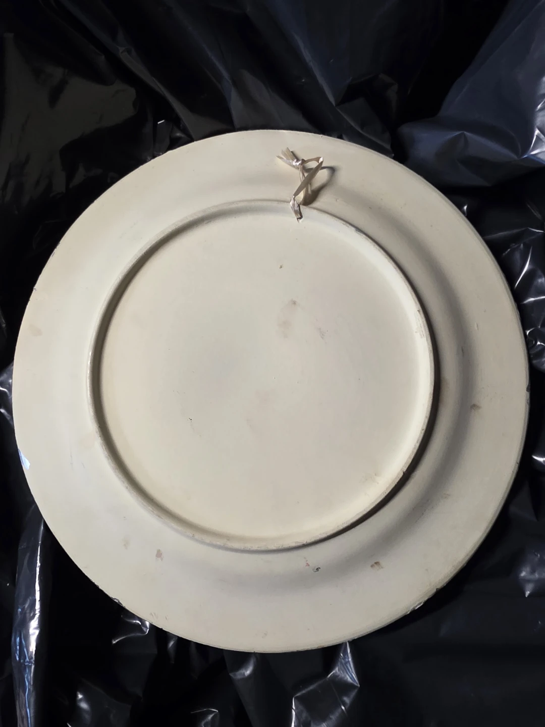 Decorative Wall Plate with Vintage Portrait - photo 4